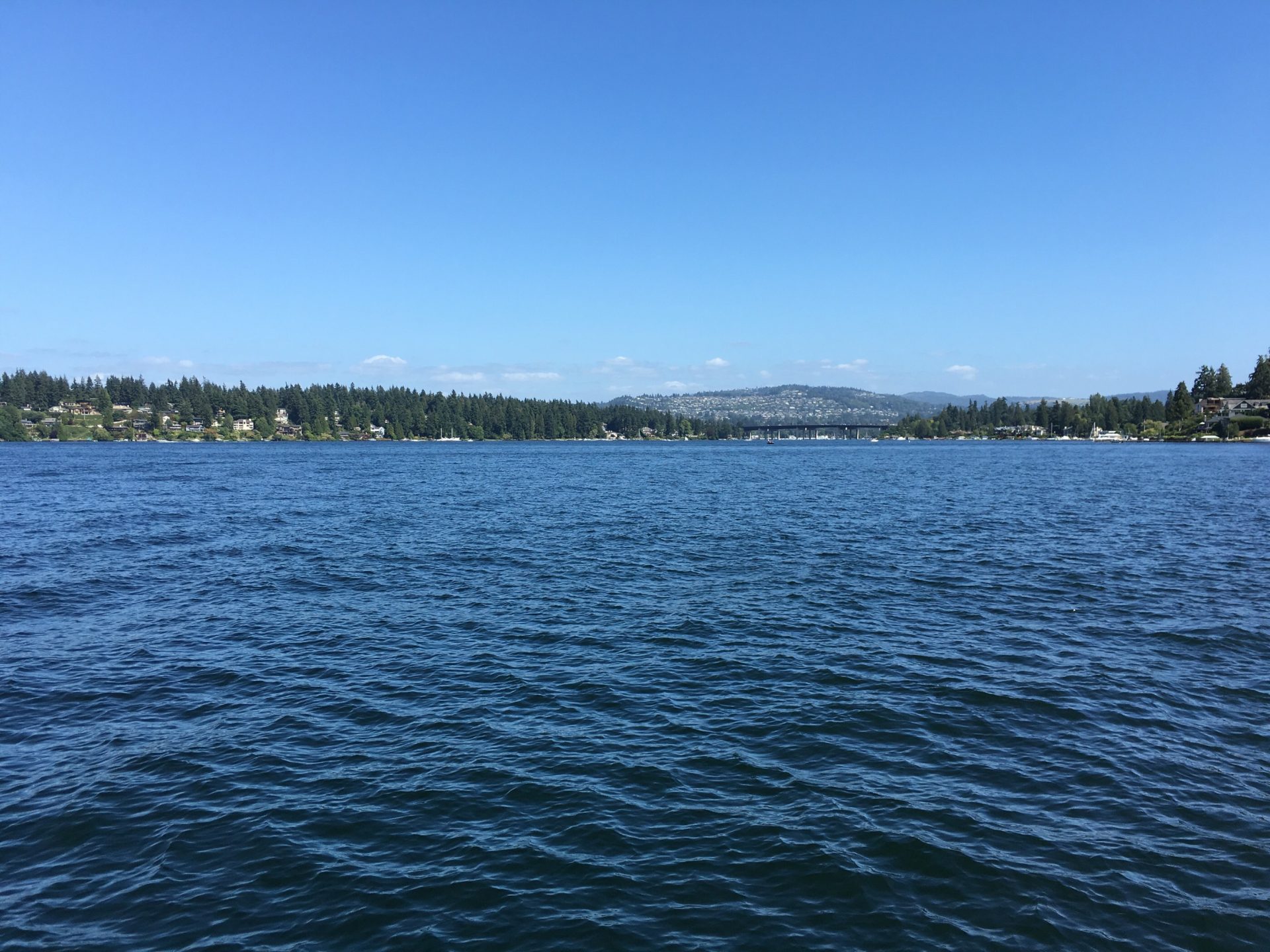 Mercer Island / WA / Lake Washington / United States - 7/30/16